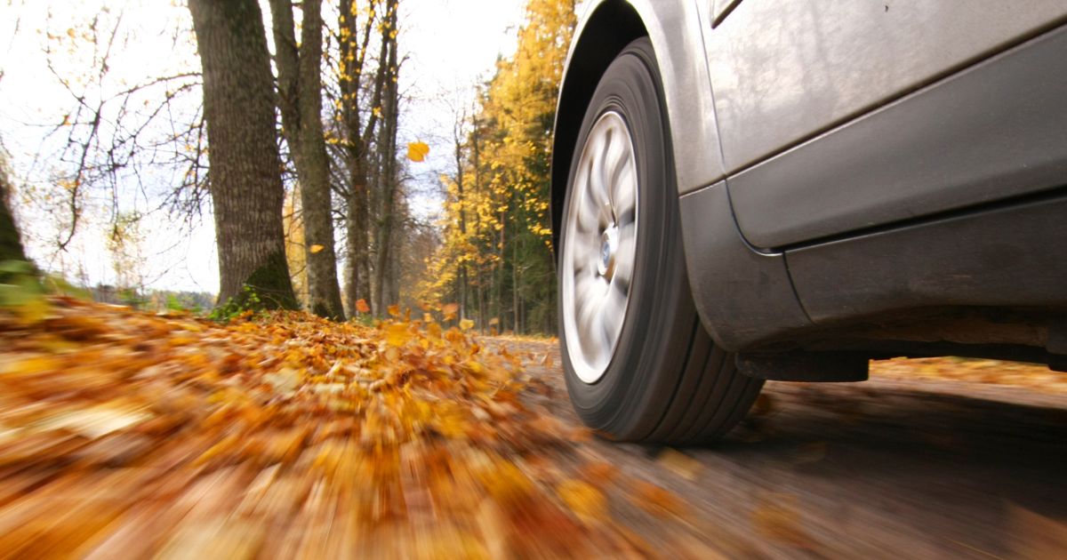 Safety Tips for When Leaves Fall